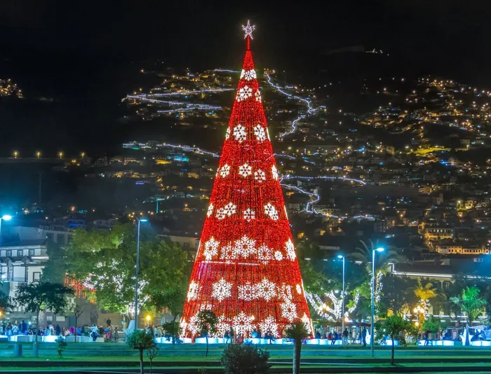 Christmas lights and tree in Funchal